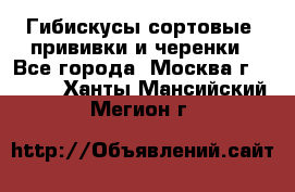 Гибискусы сортовые, прививки и черенки - Все города, Москва г.  »    . Ханты-Мансийский,Мегион г.